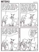 Photo Number 15